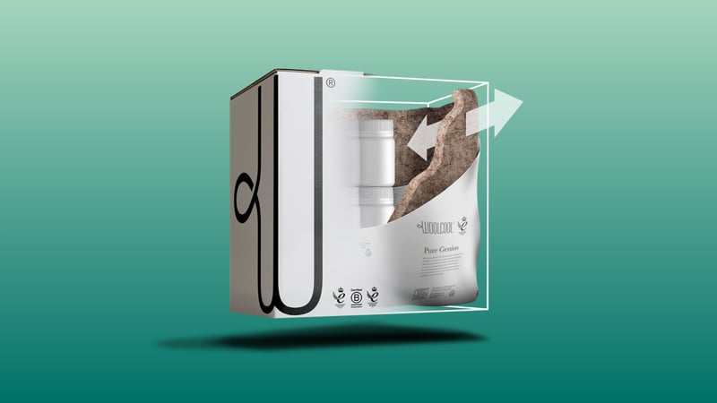 3-Oct-30-2025-02-09-41-1810-PM