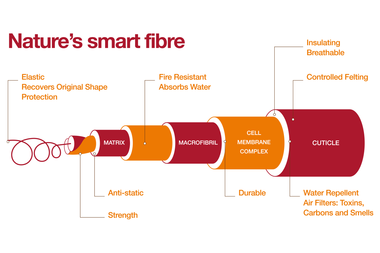 Natural Smart Fibre