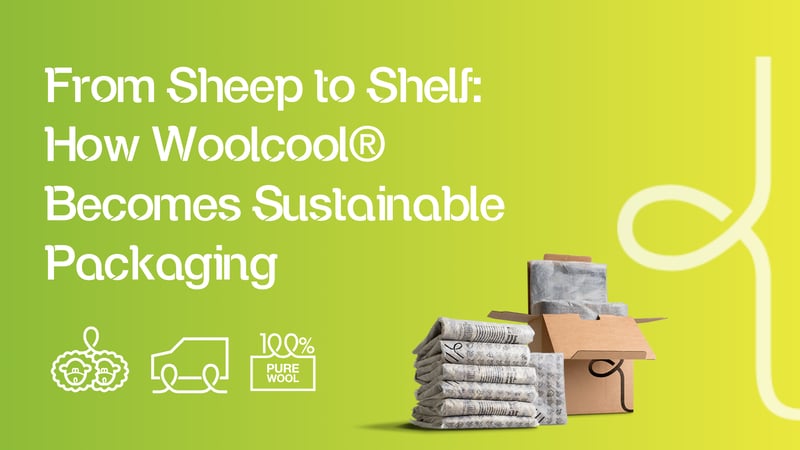 WOOLCOOL_sheeptoshelf-1