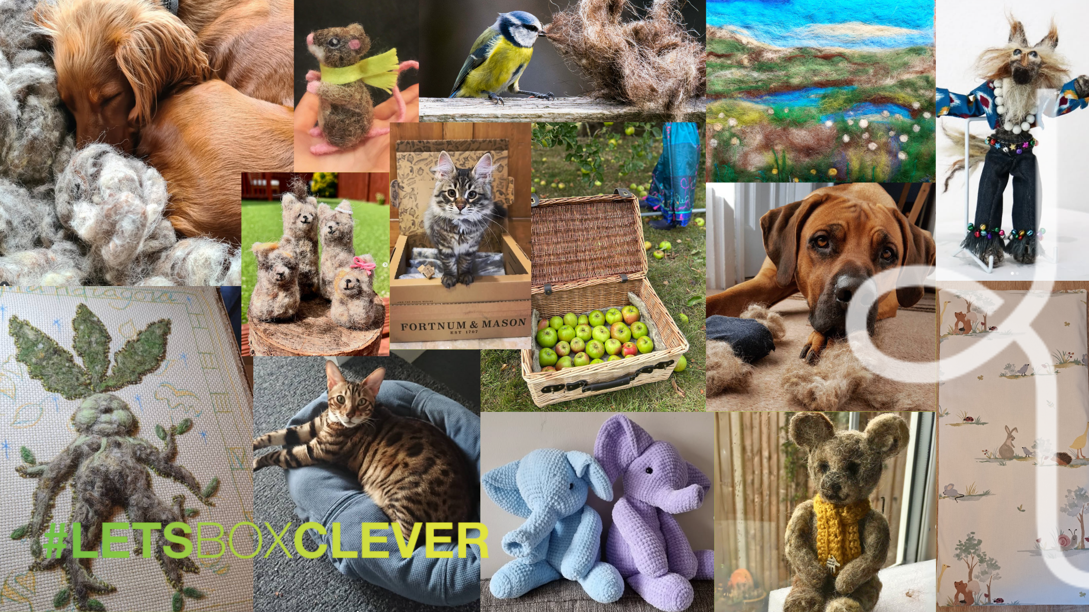 A collage of reuse ideas from Woolcool